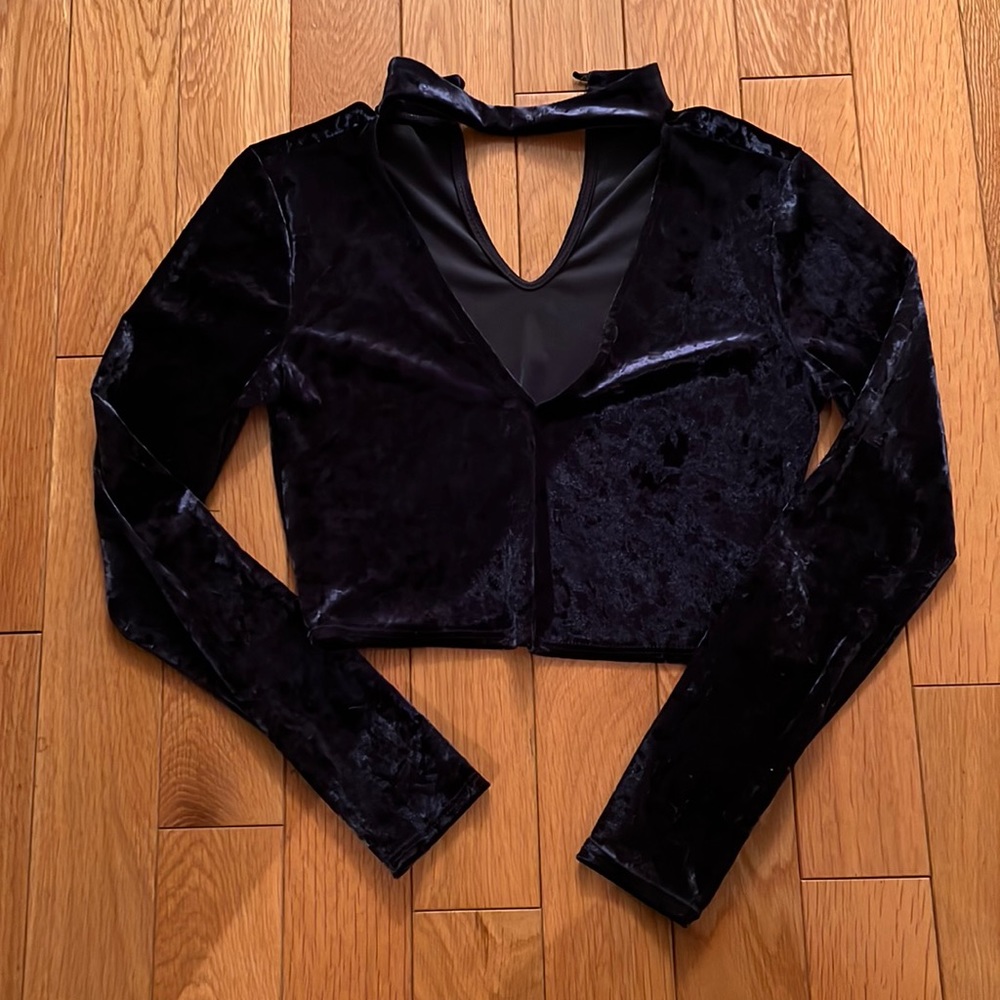 Charlotte Russe Long Sleeve Velvet Crop Top